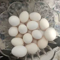 تخم مرغ گلین