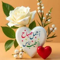 مریض است کسی  م   ل   میشناسه