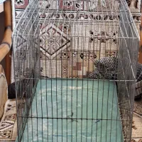 ۲ عدد قفس پرنده