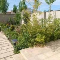 ویلایی-شمالی-210-متر-بر-10-دو-طبقه-قابل-سکونت