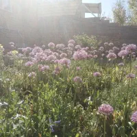 اجاره کوتاه مدت سوییت