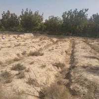 فروش زمین ۵۰۰ متری در ده‌حسن|فروش زمین و ملک کلنگی|رباط‌کریم, ده‌حسن|دیوار