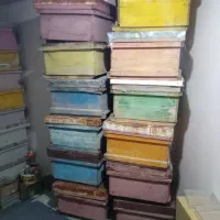 حدود۲۵عددکندوی زنبورعسل