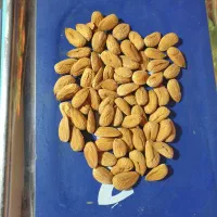 بادام شاهرودی|خوردنی و آشامیدنی|کیار, |دیوار