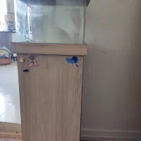 آکواریوم شیشه خم با کمد