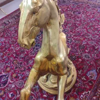 اسب تزیینی مجلل