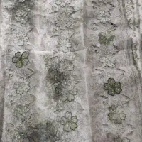 سه و سی سانت گیپور مجلسی