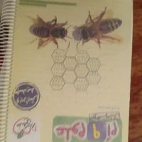 کتااب کمک درسی برای نهم|کتاب و مجله آموزشی|شیراز, شهرک مهدی‌آباد|دیوار