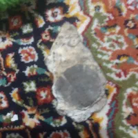 فسیل نایاب و ارزشمند وسنگ های که باارزش زیاد