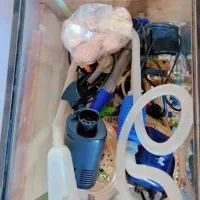 آکواریوم شیشه خم با کلیه تجهیزات|ماهی|گرمسار, |دیوار