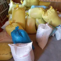 بذر گندم آبی