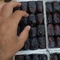 رطب مضافتی بم (خرما)، ۱۶ تن با وزن ۸،۴۰۰ کیلوگرم|عمده‌فروشی|بم, |دیوار