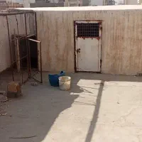 درب چخ|لوازم جانبی حیوانات|مشهد, شهید رضوی|دیوار
