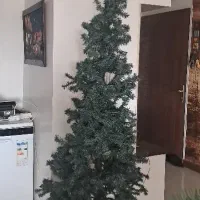 درخت کریسمس بزرگ