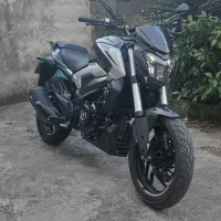 دومینار 250 مدل 1403 بدون توضیح
