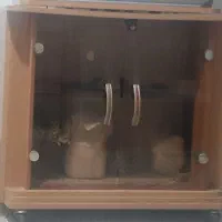 میزتلوزیون‌سالم‌‌درحد