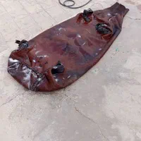 مشک|صنایع دستی و سایر لوازم تزئینی|ایوان, |دیوار