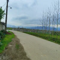 اجاره ویلا نیمه دربست در5کیلومتری ماسال