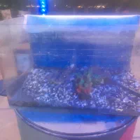 آکواریم شرکتی .باهمراه تسویه اب ،وسنگ شن..|ماهی|اندیشه, پرنیان|دیوار