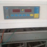 دستگاه جوجه کشی نوین صنعت|لوازم جانبی حیوانات|اصلاندوز, |دیوار