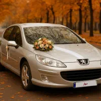 پژو ۴۰۷ نقره ای دنده