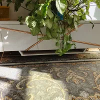 وسایل خانگی|بوفه، ویترین، کنسول|لردگان, |دیوار