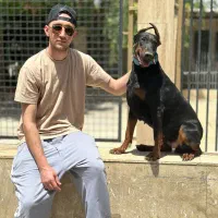 دوبرمن اورجینال وارداتی