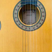 گیتار پارسی مدل m2|گیتار، بیس، امپلیفایر|مشگین شهر, |دیوار
