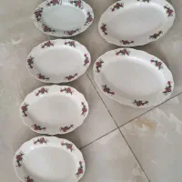 چینی گل سرخ