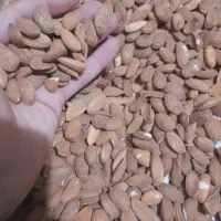 مغز بادام ایرانی یکدست و درشت