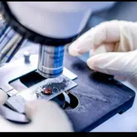 لیسانس میکروبیولوژی