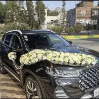 اجاره ماشین عروس روزانه تیگو 8 مشکی