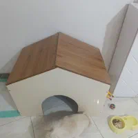 لانه سگ|لوازم جانبی حیوانات|قدس, شهر‌قدس|دیوار