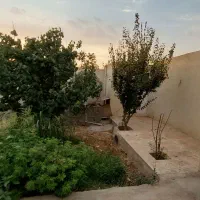 باغچه500متر قدیمی شهریار/دهشاد/میدان نماز/تهران سر|فروش خانه و ویلا|شهریار, دهشاد بالا|دیوار