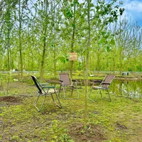 ویلا مبله دانمارکی