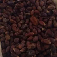 شادکان خنافر خروسی|عمدهفروشی|شادگان, |دیوار