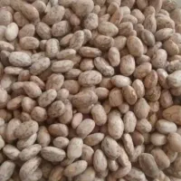 لوبیا قرمز، چیتی، چشم بلبلی کیلویی 105|خوردنی و آشامیدنی|کوهدشت, |دیوار