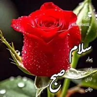 گمشده