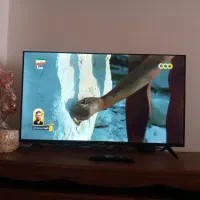 تلویزیون