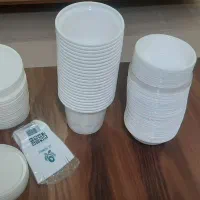 ظرف یکبار مصرف