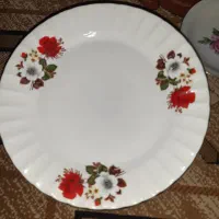 پشقاب و زیر پوستی گل سرخی