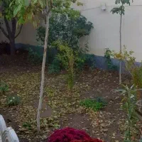 خانه ویلایی حیاط ماشین رو|فروش خانه و ویلا|تهران, مهرآباد|دیوار