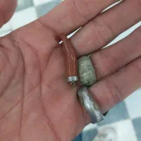 ارزش دار|بدلیجات|ایذه, |دیوار