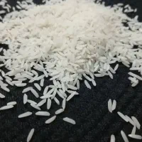 برنج طارم هاشمی عطری