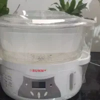 بخار پز سانی