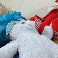 سلام چند عدد عروسک به فروش میرسد|اسباببازی|شاهینشهر, شهرک گلدیس|دیوار