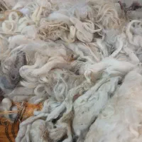 حلاجی پشم پنبه کلک الیاف