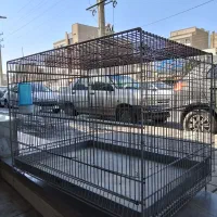 قفس و لانه پرنده