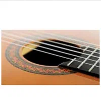 یاماها ،c40|گیتار، بیس، امپلیفایر|تبریز, |دیوار