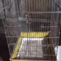 قفس درب از جلو باز شو